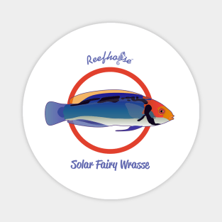 Solar Fairy Wrasse Magnet